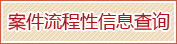 案件流程信息查询