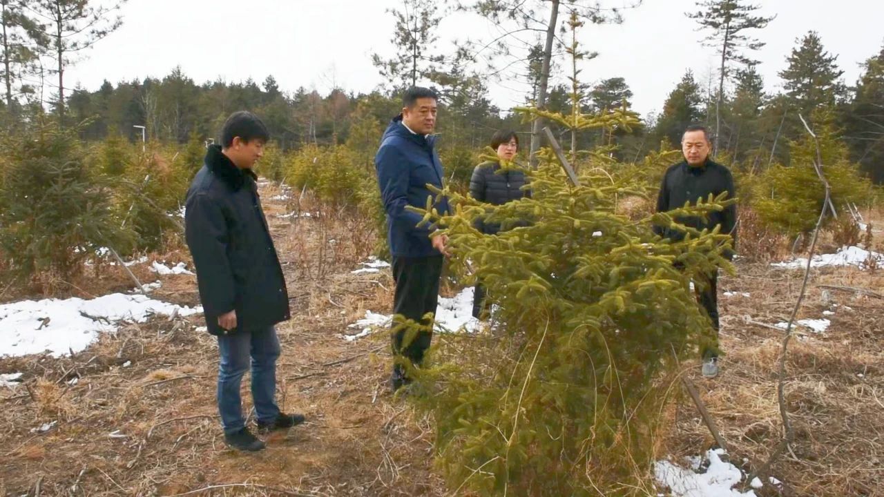 落实“林长+检察长”工作机制 构建生态保护新格局